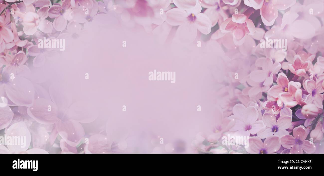 Purple lilac flowers as background. Spring background Stock Photo - Alamy
