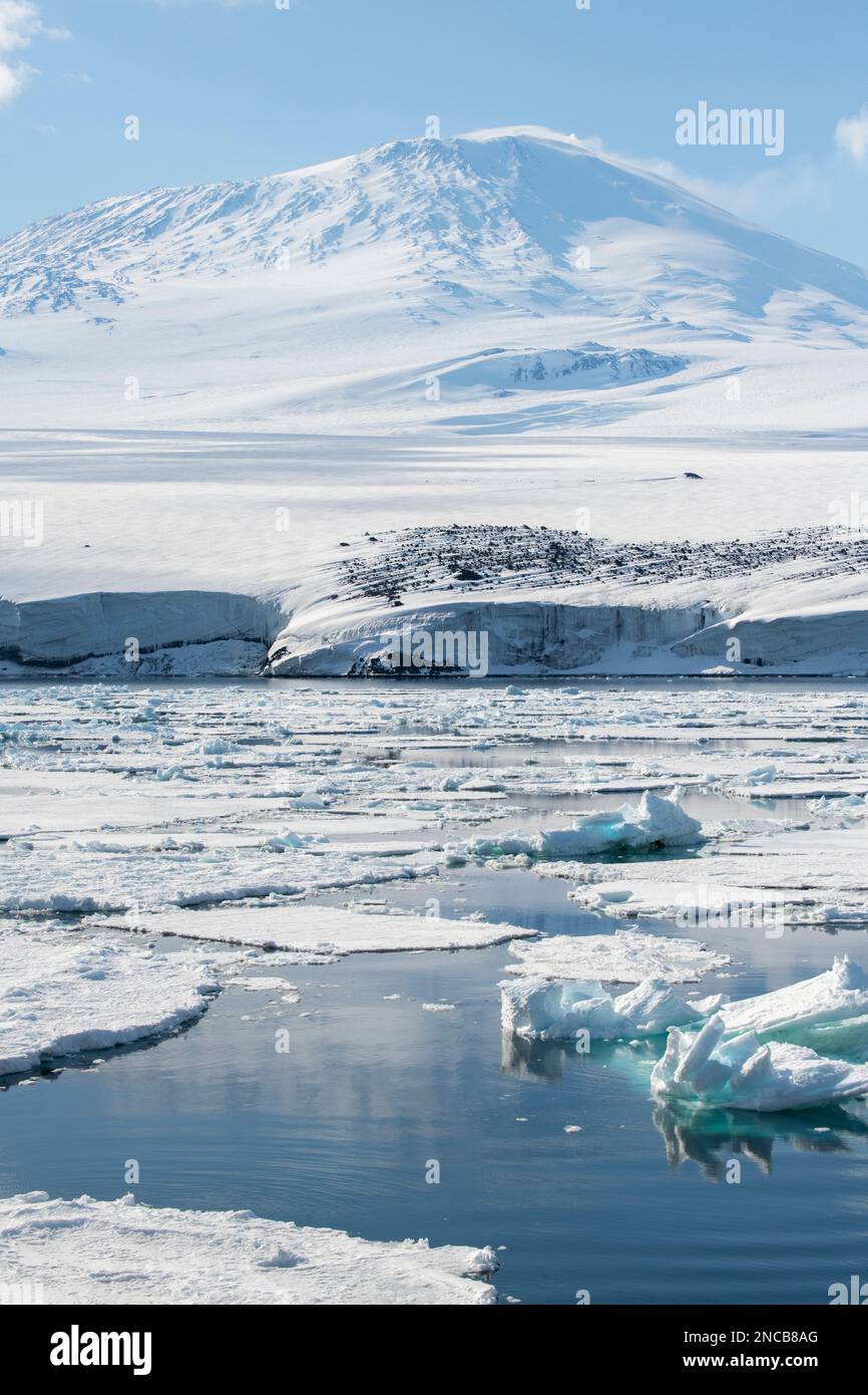 Antarctica, Ross Island. Ross Sea view of Mount Erebus, classic active
