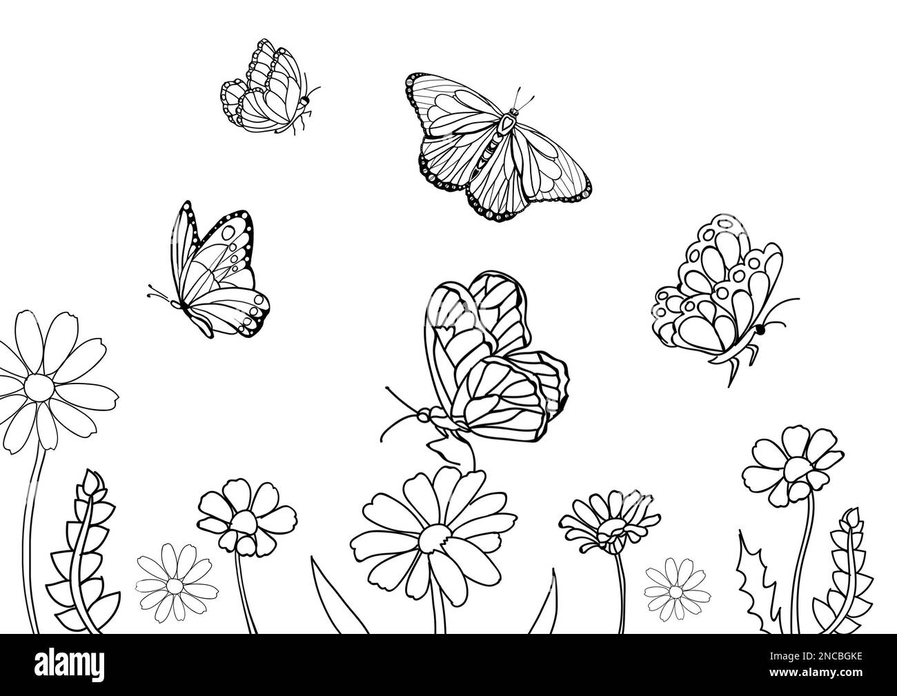 Butterflies and beautiful flowers on white background, illustration. Coloring page Stock Photo