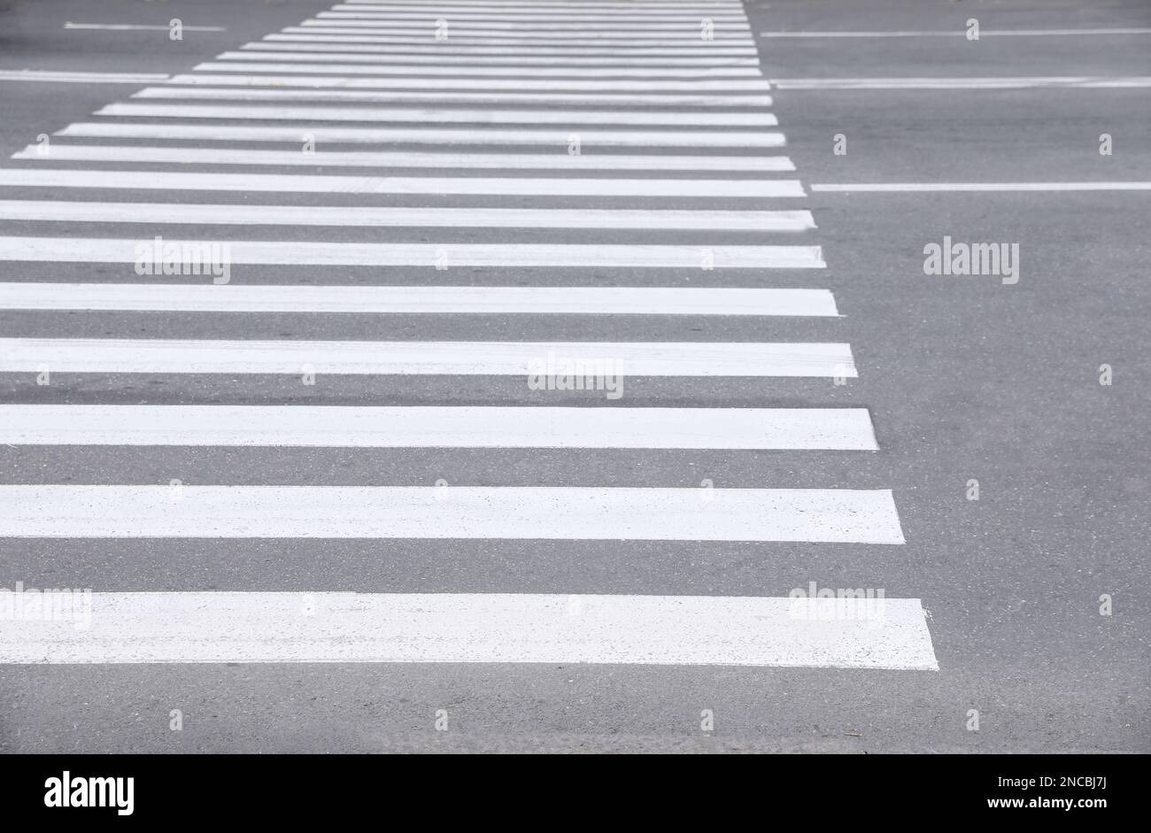 White pedestrian crossing on empty city street Stock Photo - Alamy
