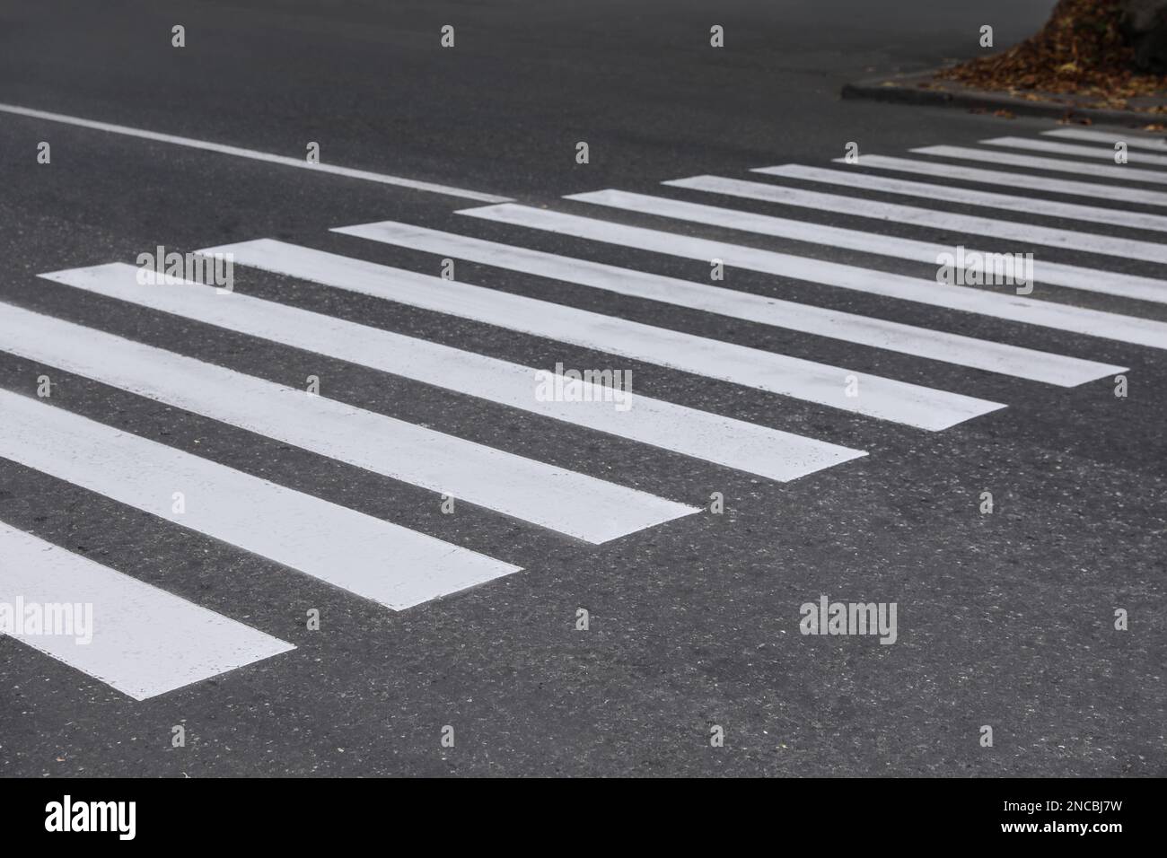 White pedestrian crossing on empty city street Stock Photo - Alamy