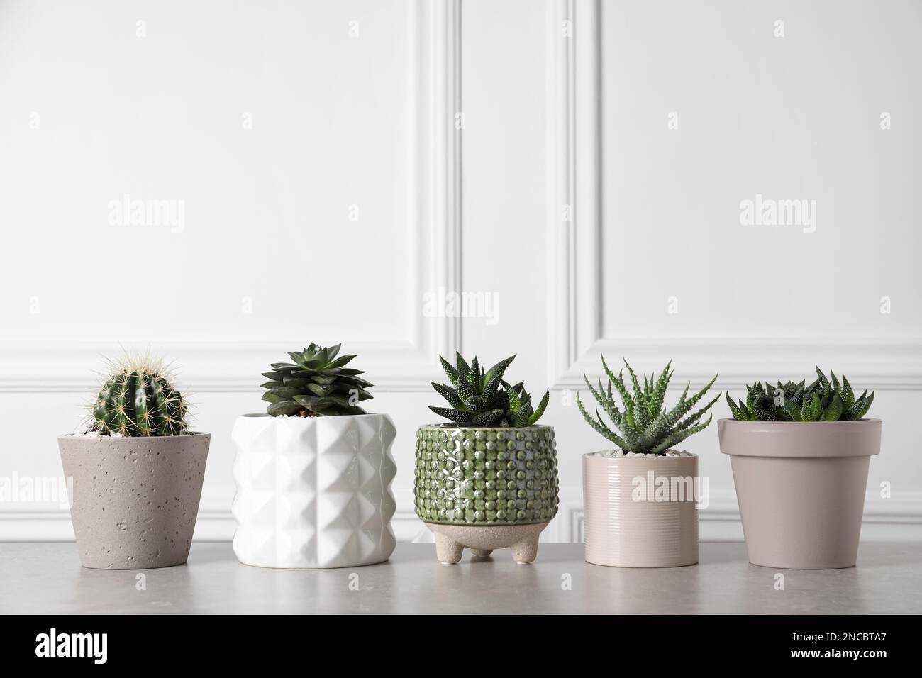 House plants in pots hi-res stock photography and images - Alamy