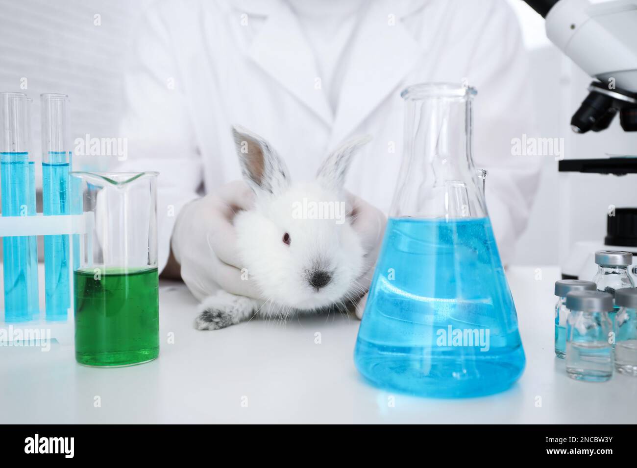 Scientist with rabbit in chemical laboratory, closeup. Animal testing