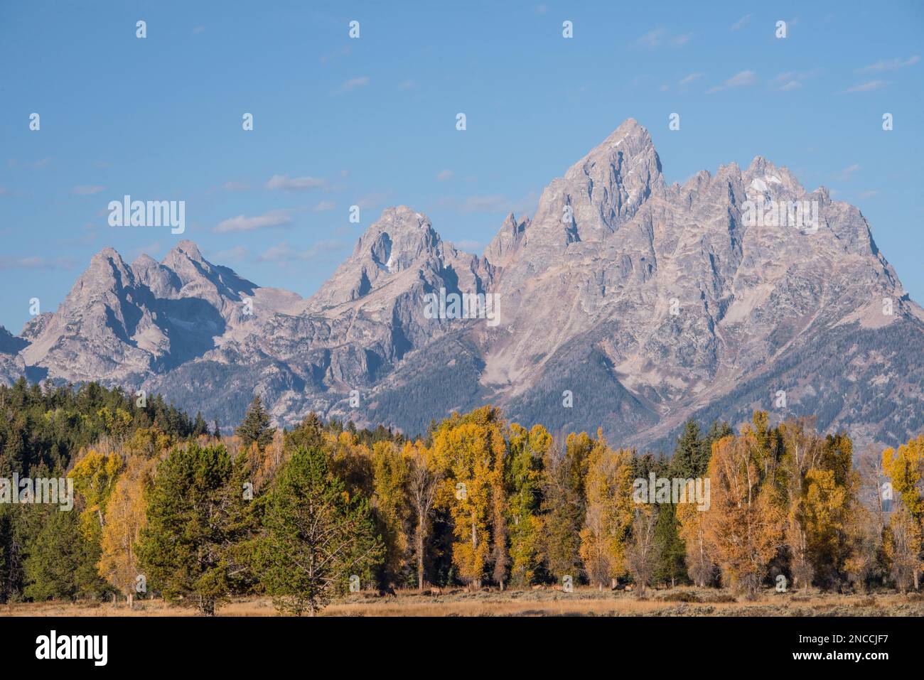 Teton Peaks, Grand Teton National Park, Jackson, Wyoming, with changing ...