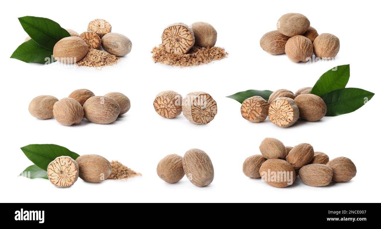 Set with nutmeg seeds on white background. Banner design Stock Photo ...