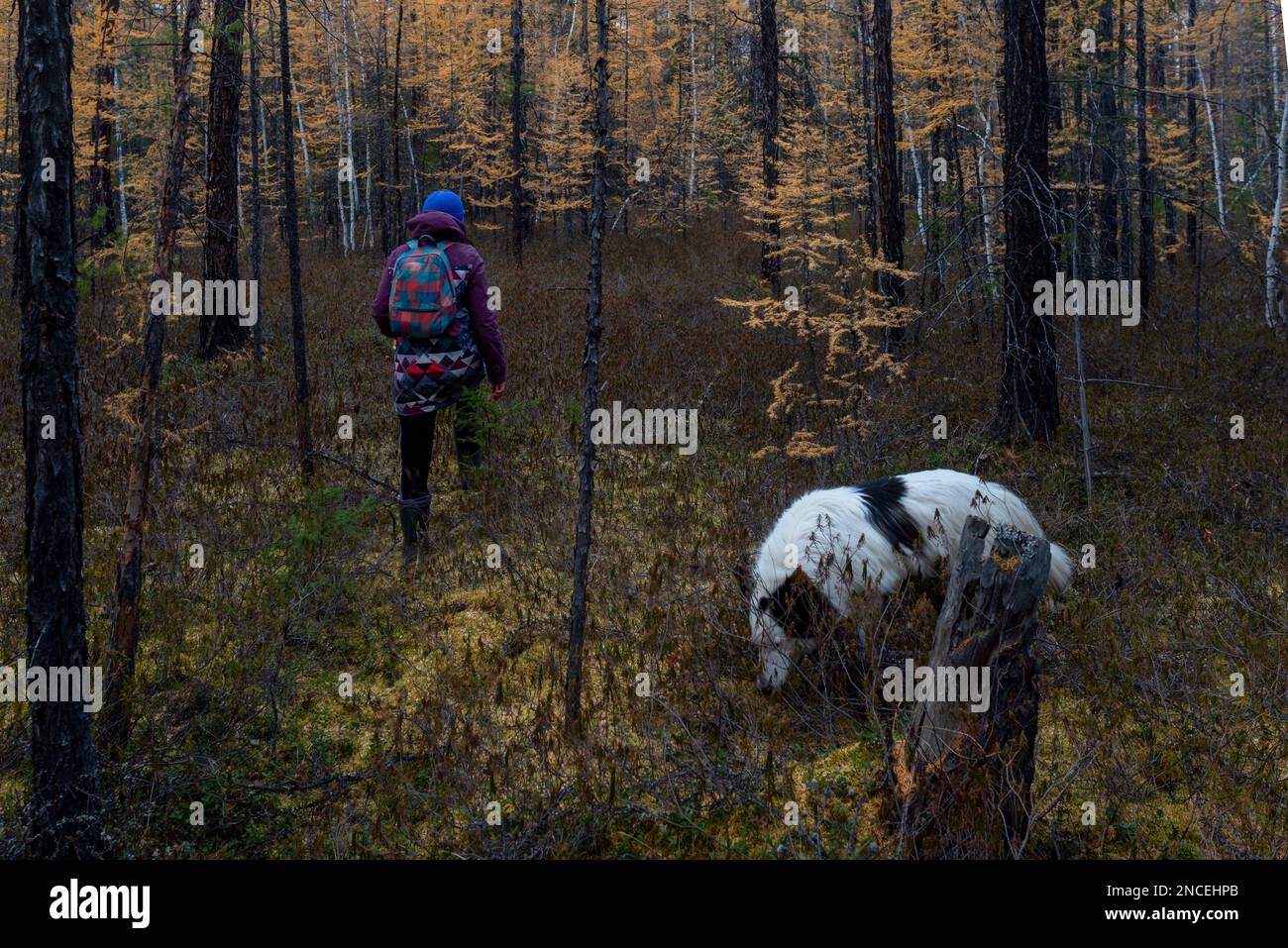 Tarvuz bilan chayqalish