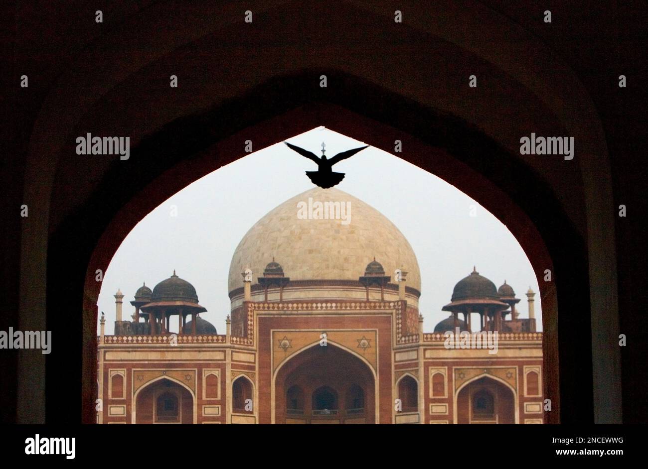 Hamayuo Rind A pigeon enters from an arch leading to the Humayun's Tomb in New Delhi ...