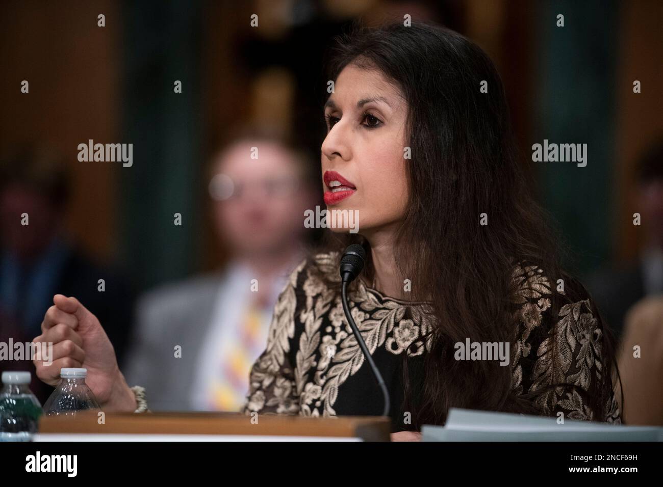 Professor Yesha Yadav, Vanderbilt University Law School, responds to  questions during a Senate Committee on Banking, Housing, and Urban Affairs  hearing to examine the crypto crash, focusing on why financial system  safeguards