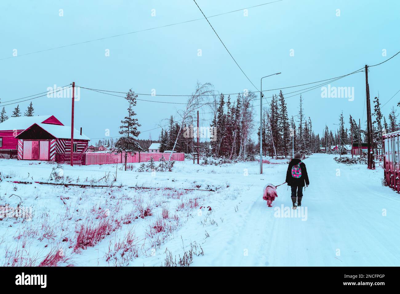 Abstract cyberpunk style photo of a girl walking with a white dog in the snow on a village road in Yakutia. Stock Photo