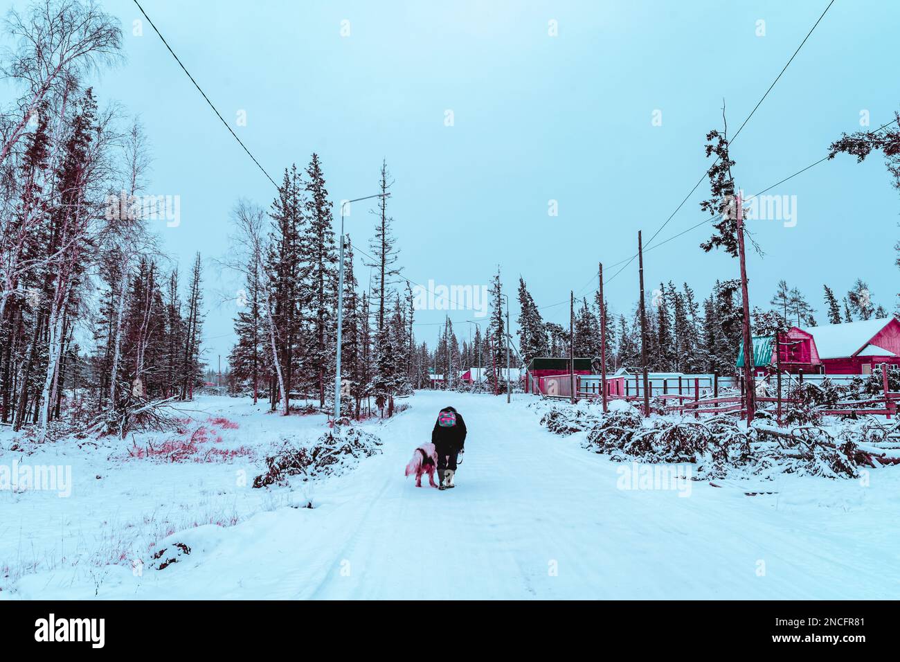 Abstract cyberpunk style photo of a girl walking with a white dog in the snow on a village road in Yakutia near the forest. Stock Photo