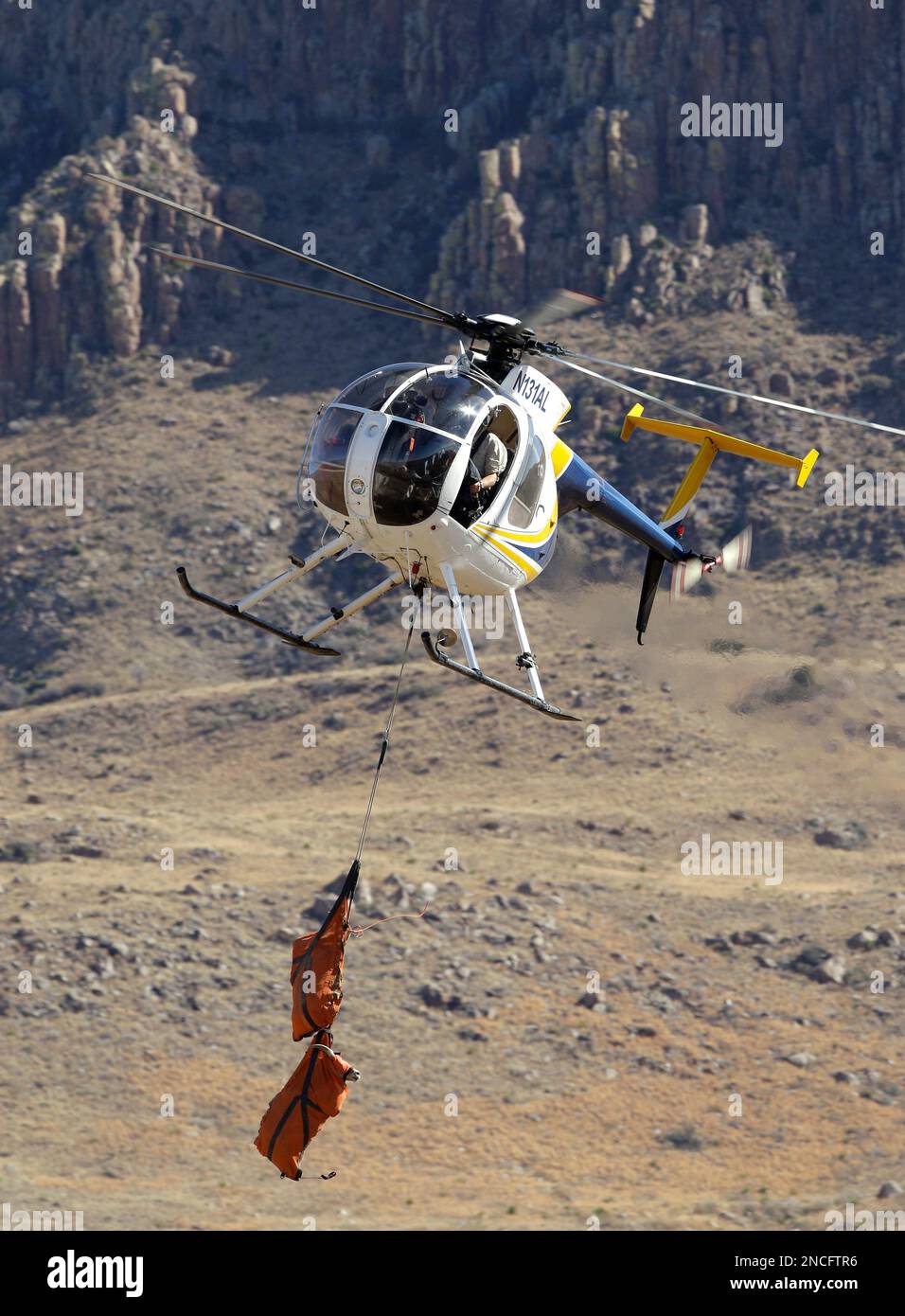 In this Dec. 21, 2010 photo. two desert bighorn sheep are airlifted off