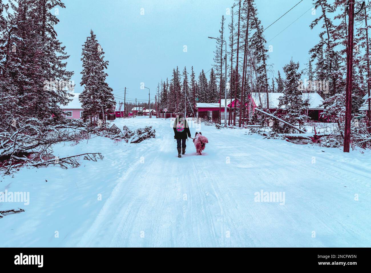 Abstract cyberpunk style photo of a girl walking with a white dog in the snow on a village road near the forest during the day. Stock Photo