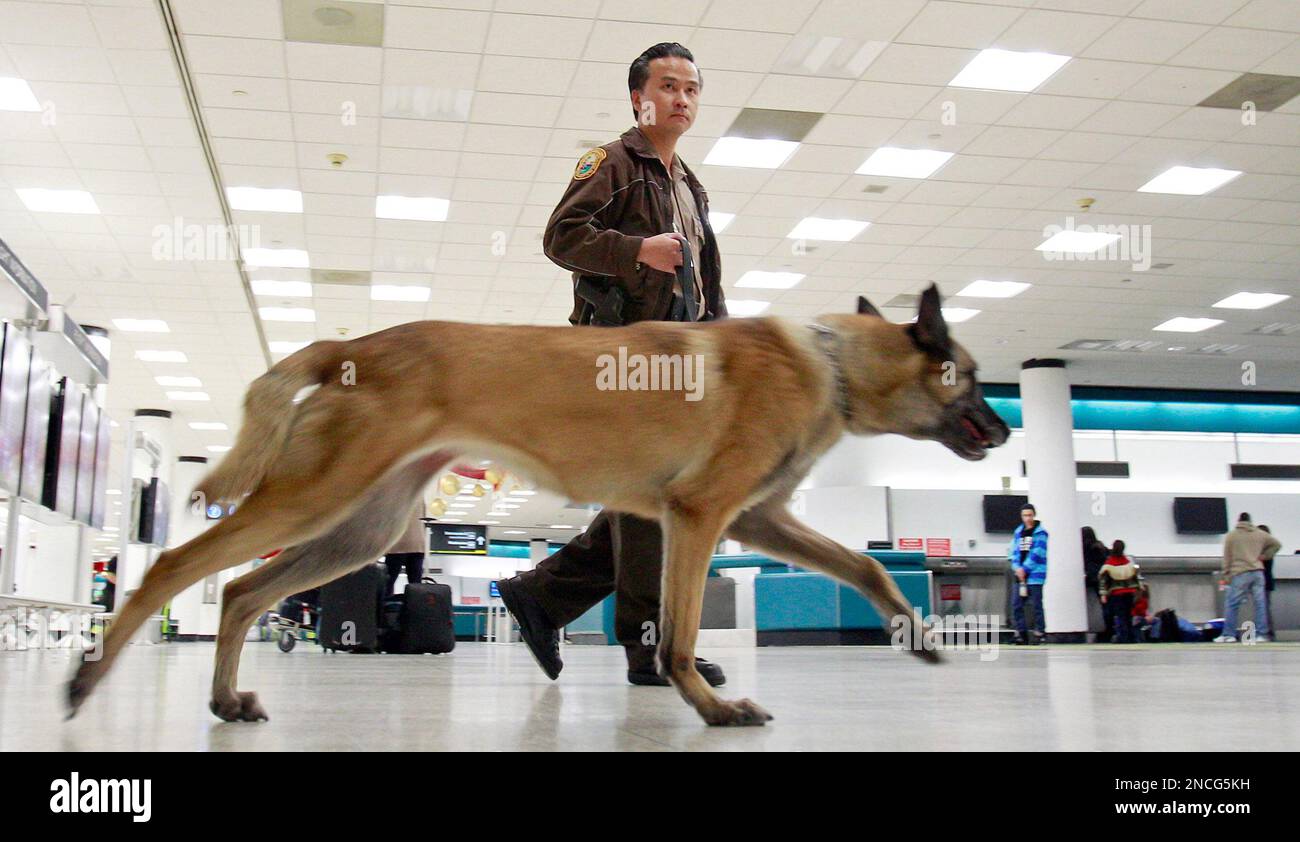 MiamiDade County police officer T. Vu patrols Miami International