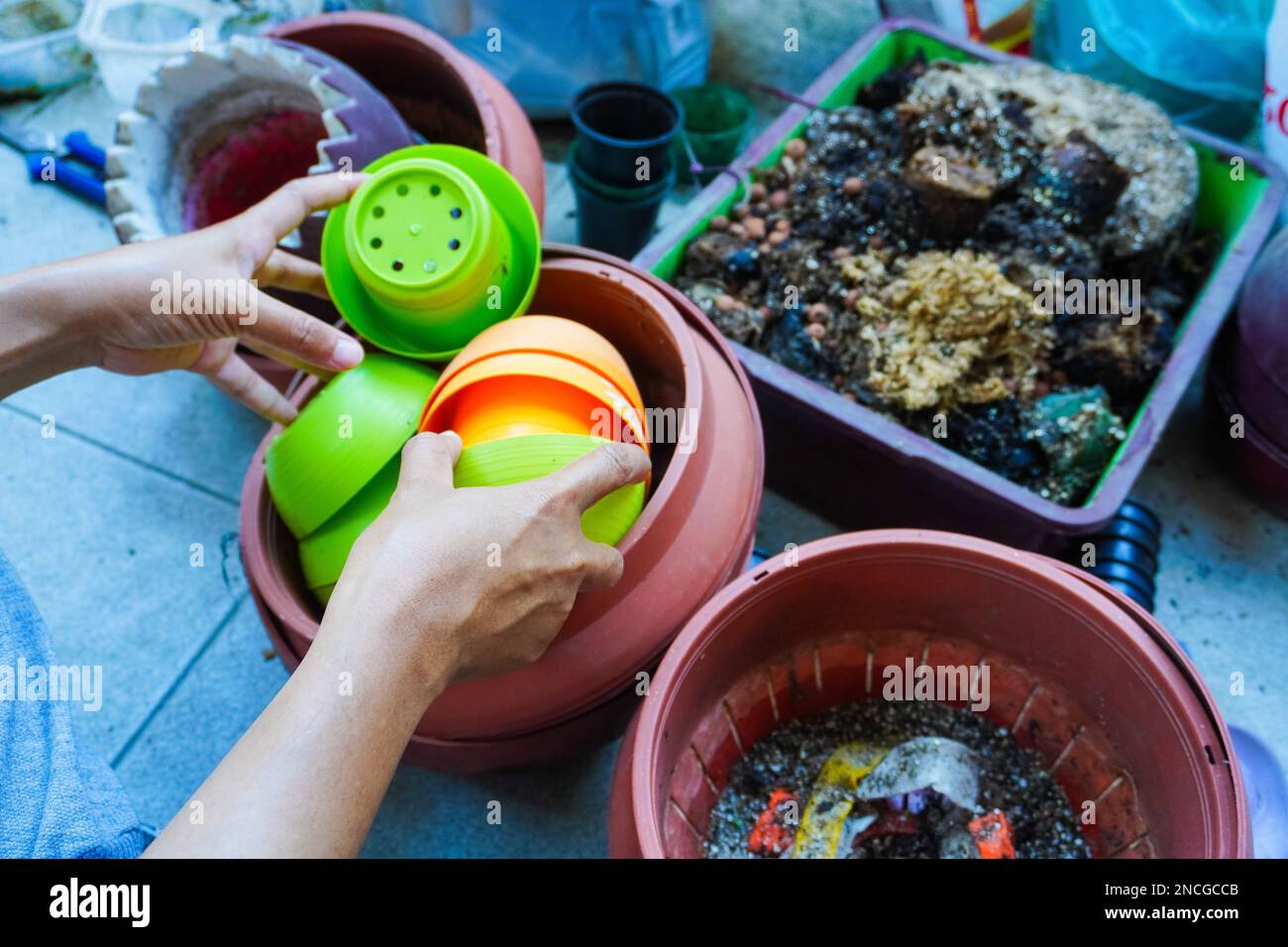 Hands cleaning old plant clay pot for garden Stock Photo Alamy
