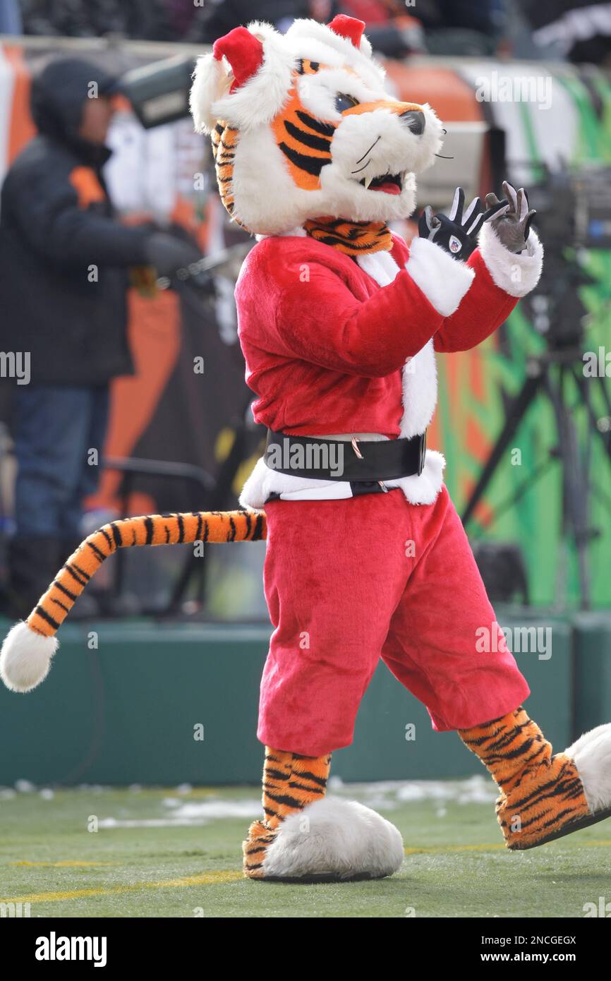 Cincinnati Bengals mascot performs in the first half of an NFL football game against the Cleveland Browns, Sunday, Dec. 19, 2010, in Cincinnati. (AP Photo/Al Behrman) Stock Photo