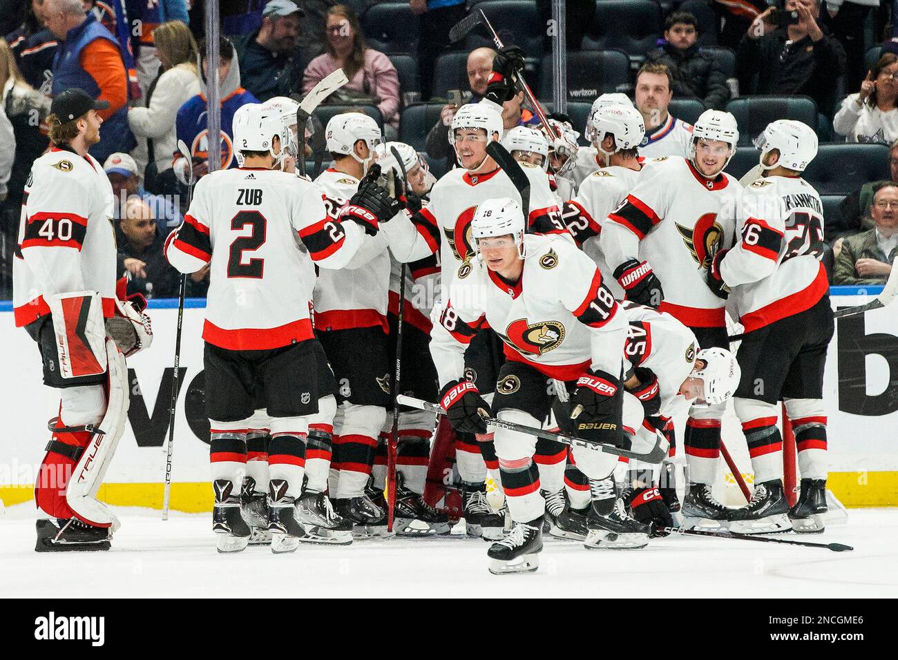 Ottawa Senators players celebrate after defeating the New York