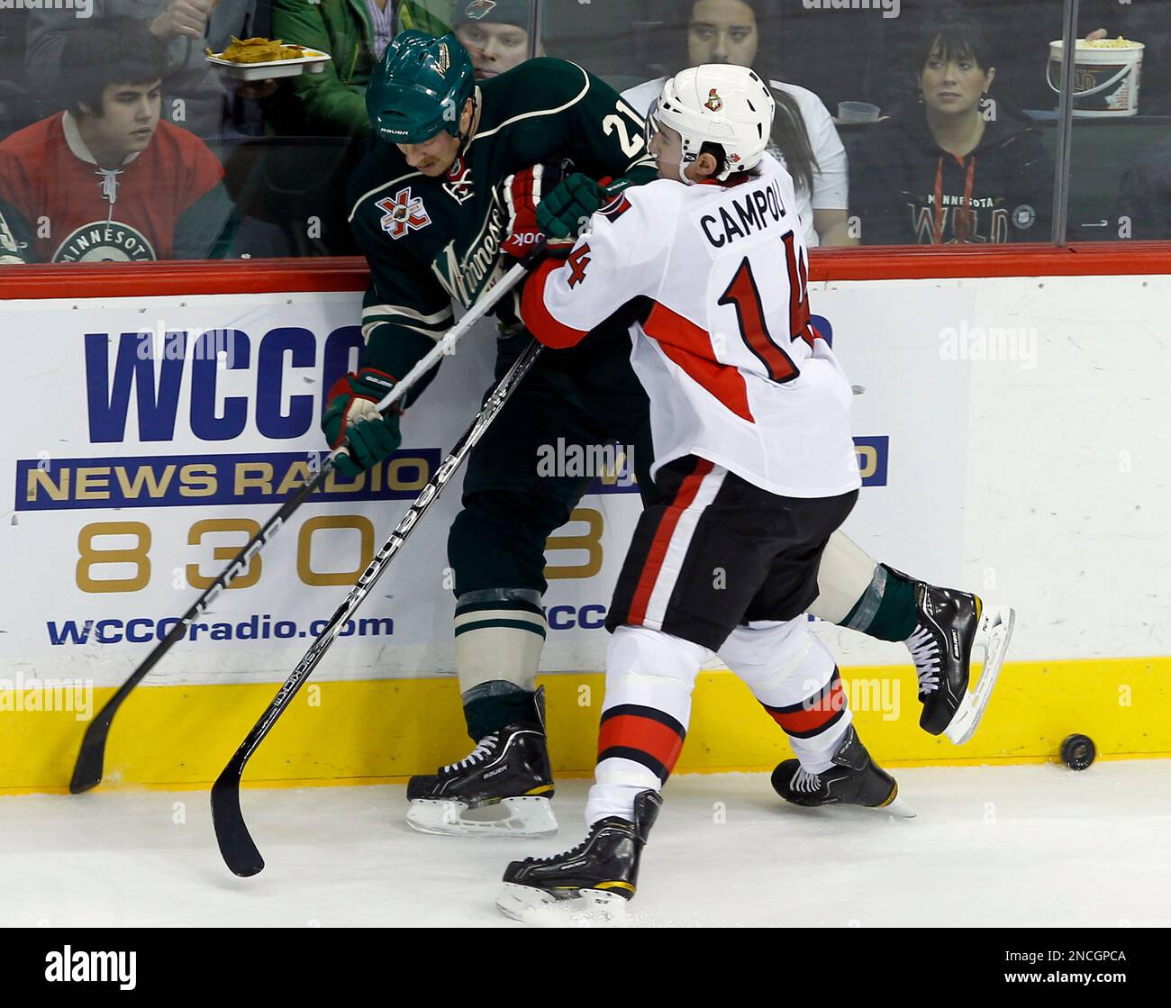 Ottawa Senators defenseman Chris Campoli (14) checks Minnesota Wild ...