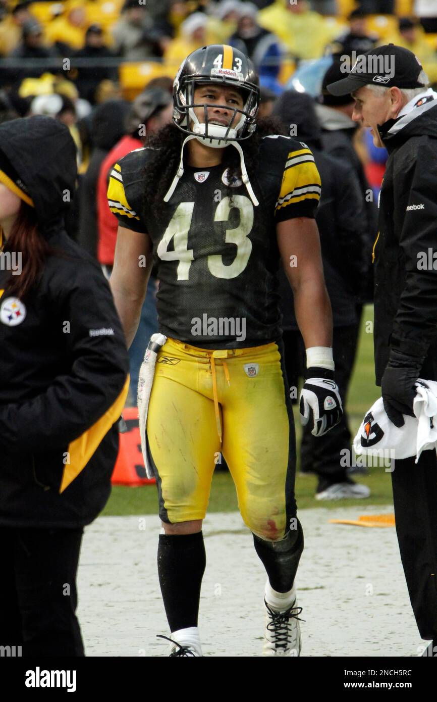 Pittsburgh Steelers strong safety Troy Polamalu (43) watches the replay on  his recovery of a Houston Texans fumble in the fourth quarter of the  Steelers 30-23 winat Heinz Field in Pittsburgh on October 20, 2014.  UPI/Archie Carpenter Stock Photo - Alamy