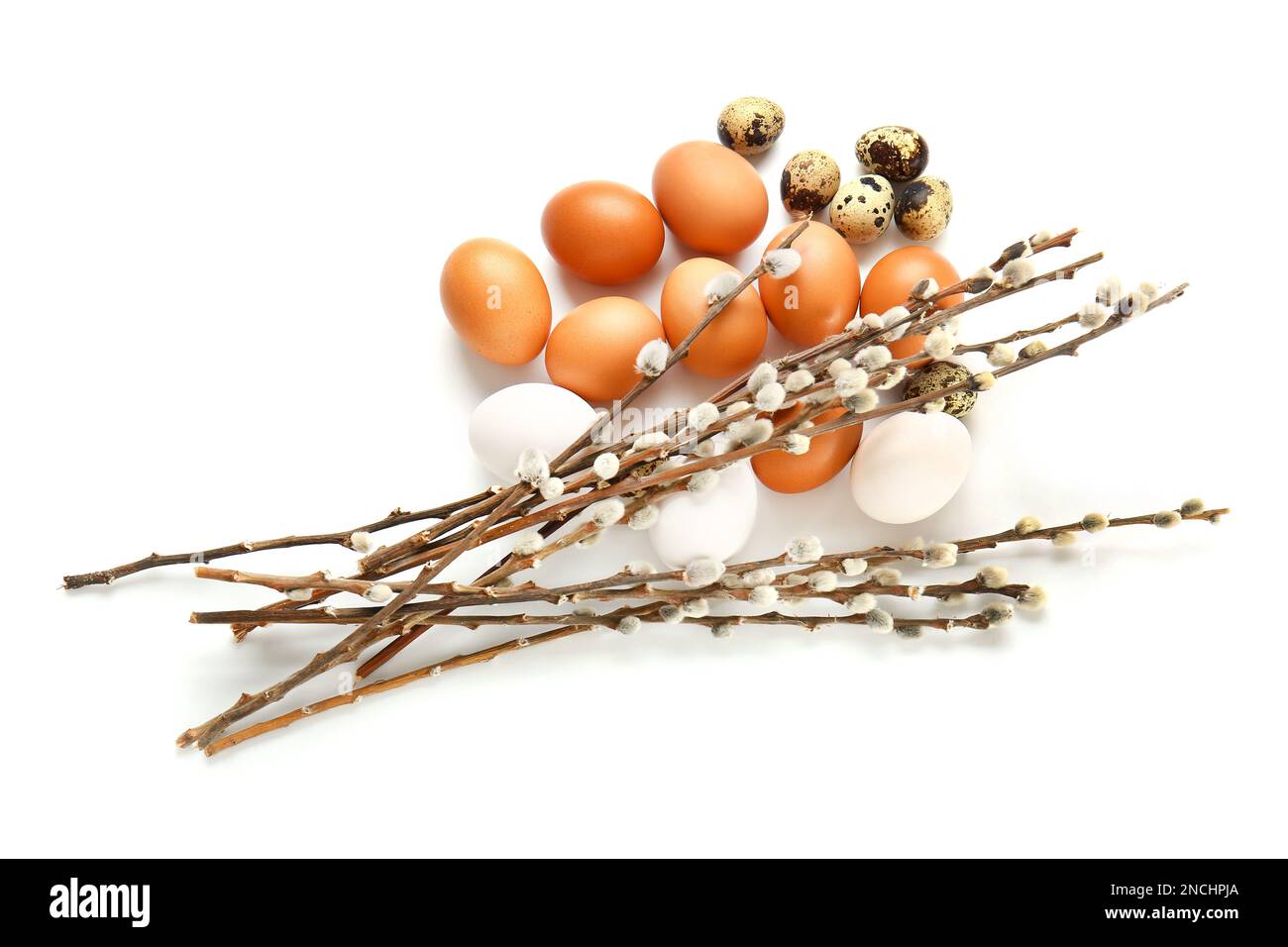 Willow branches and Easter eggs on white background Stock Photo - Alamy