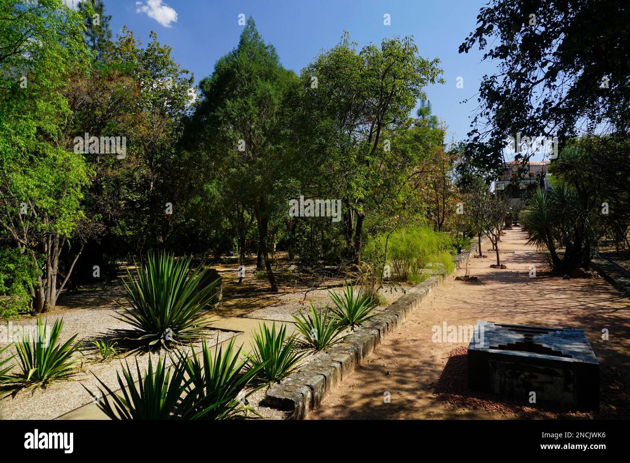 Jardin Etnobotanico de Oaxaca,  Oaxaca de Juárez City, Oaxaca, Mexico Stock Photo