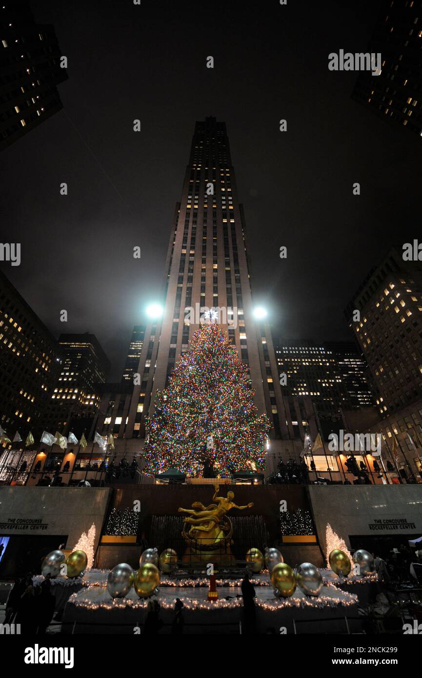 The Rockefeller Christmas tree, a 12-ton, 74-foot Norway spruce covered ...