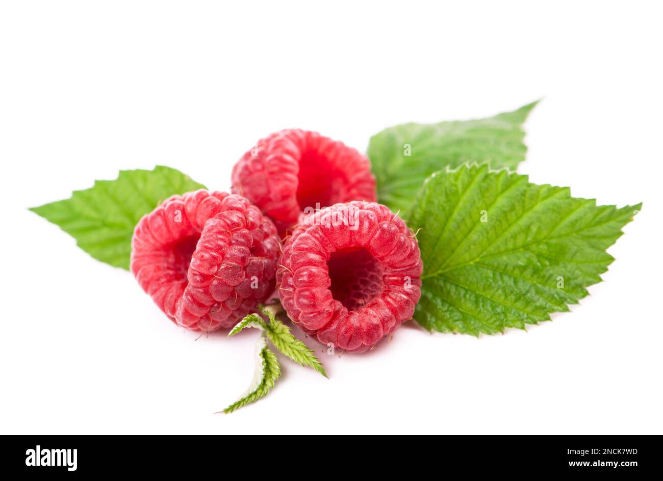 Ripe raspberry with green leaf on white background Stock Photo