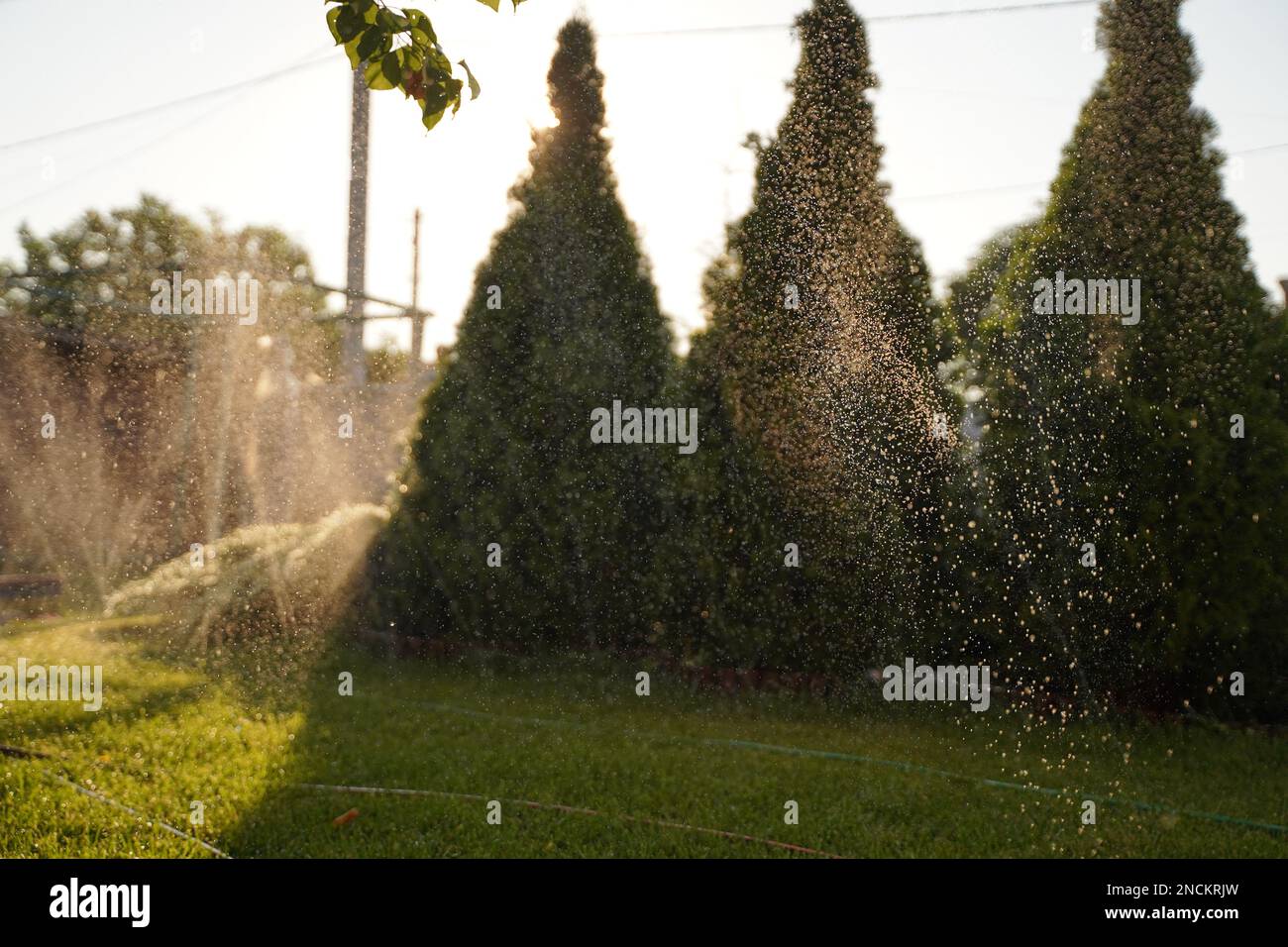 Automatic irrigation system hi-res stock photography and images - Alamy