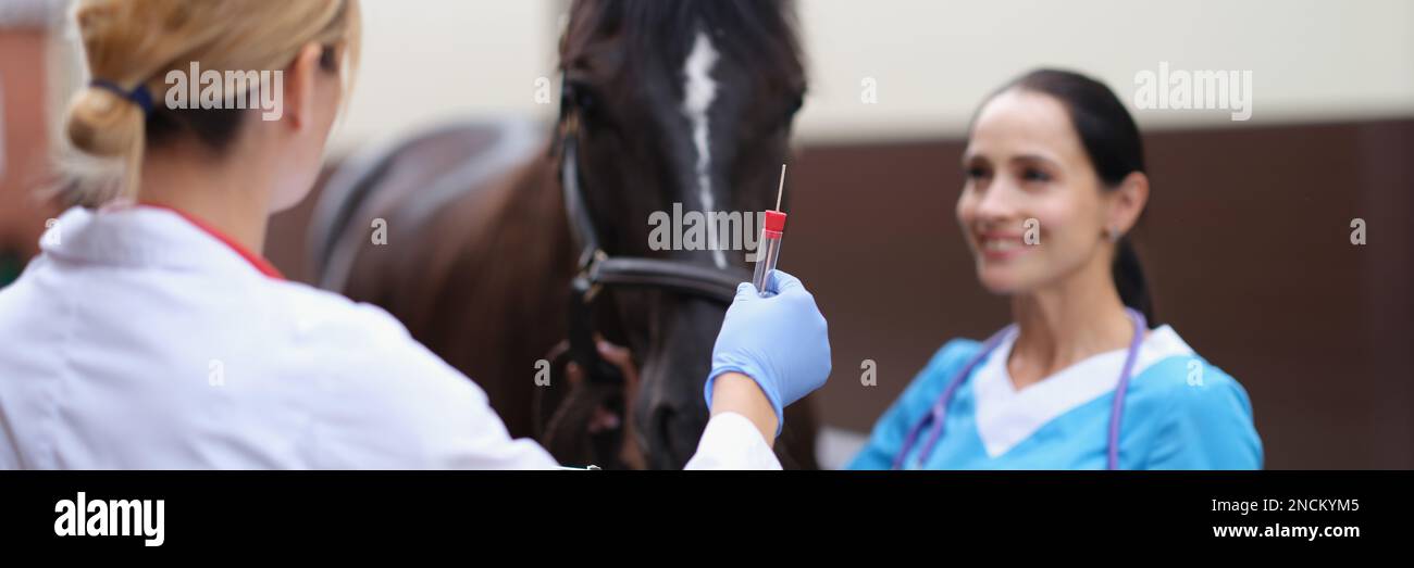 Horse blood test hires stock photography and images Alamy