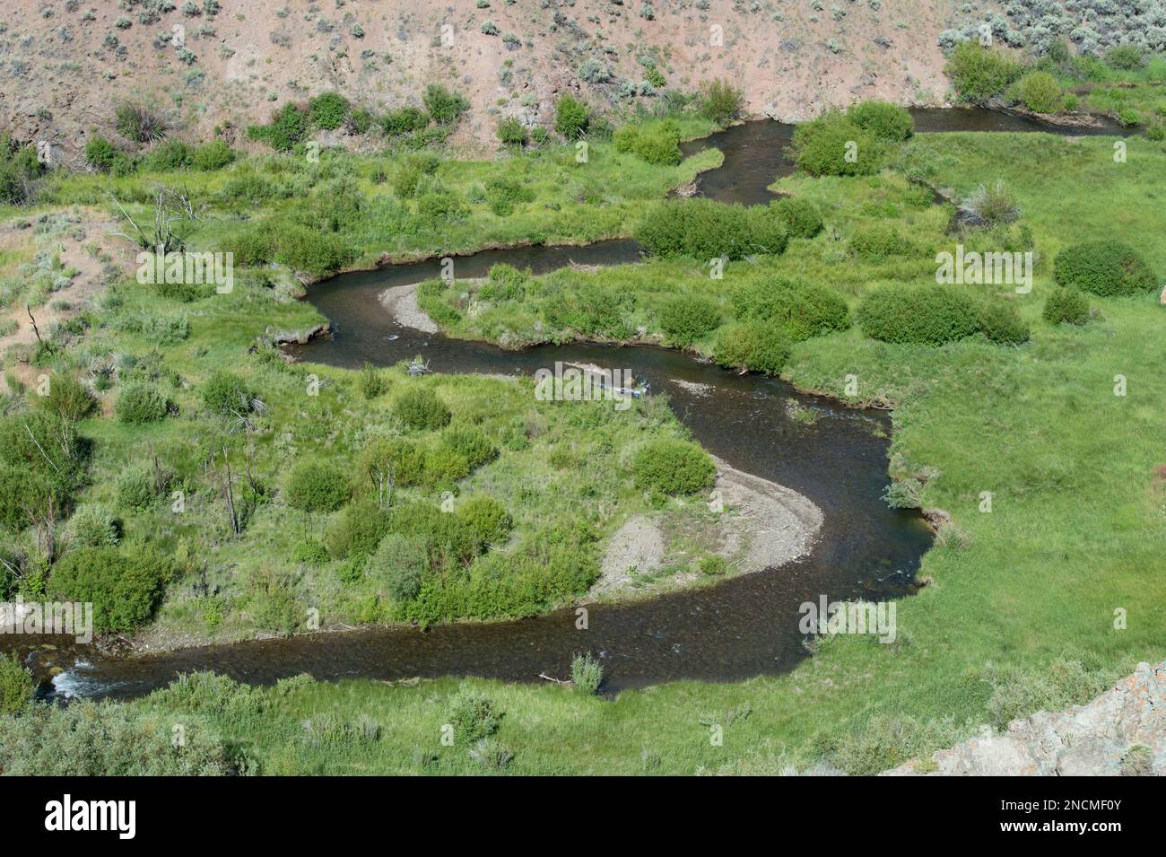 Tributary stream to the East Fork of the Salmon River in central Idaho Stock Photo