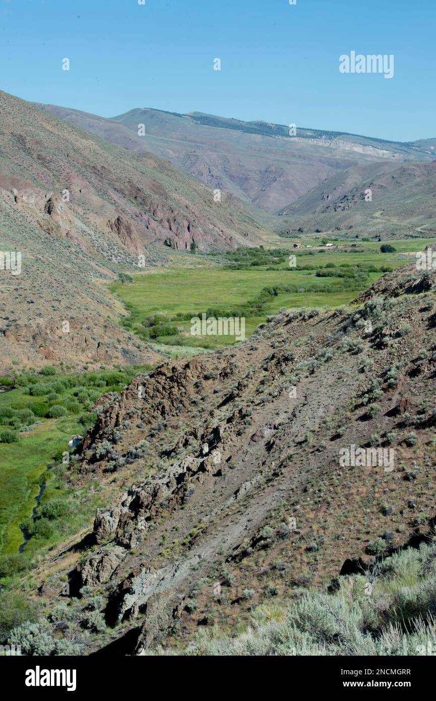 Tributary stream to the East Fork of the Salmon River in central Idaho Stock Photo