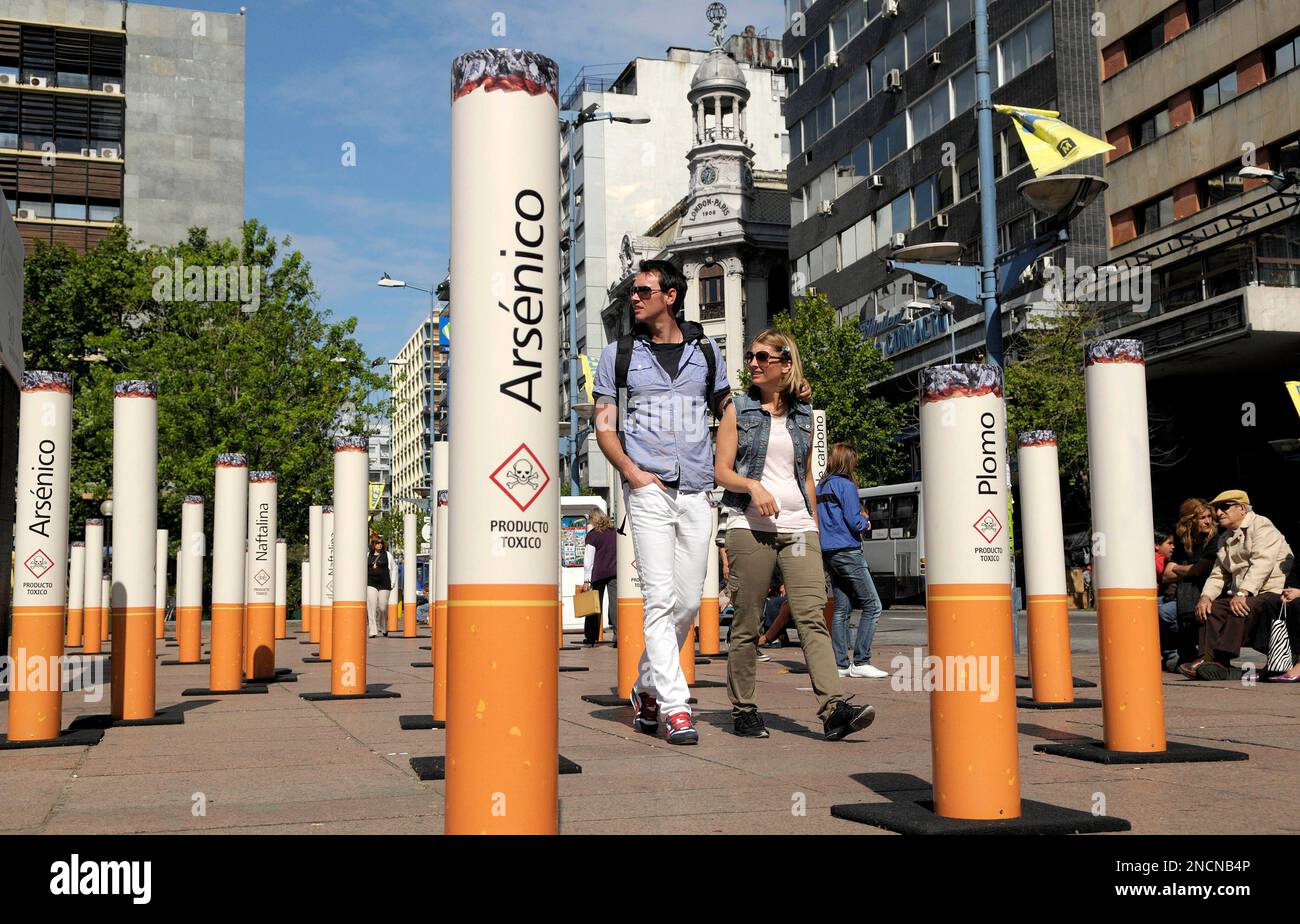 dog eats cigarette but What To Do If Your Dog Eats a Cigarette Butt?