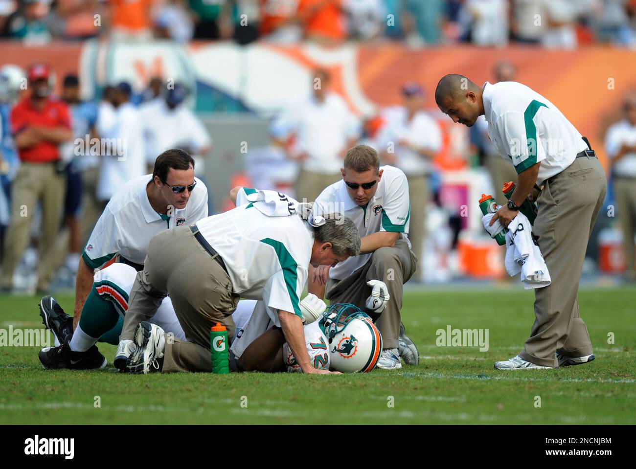 Miami Dolphins offensive tackle Vernon Carey (72), linebacker Donnie  Spragan (59) and safety Jason Allen celebrate after Allen's interception on  a pass thrown by Chicago Bears quarterback Rex Grossman during the third