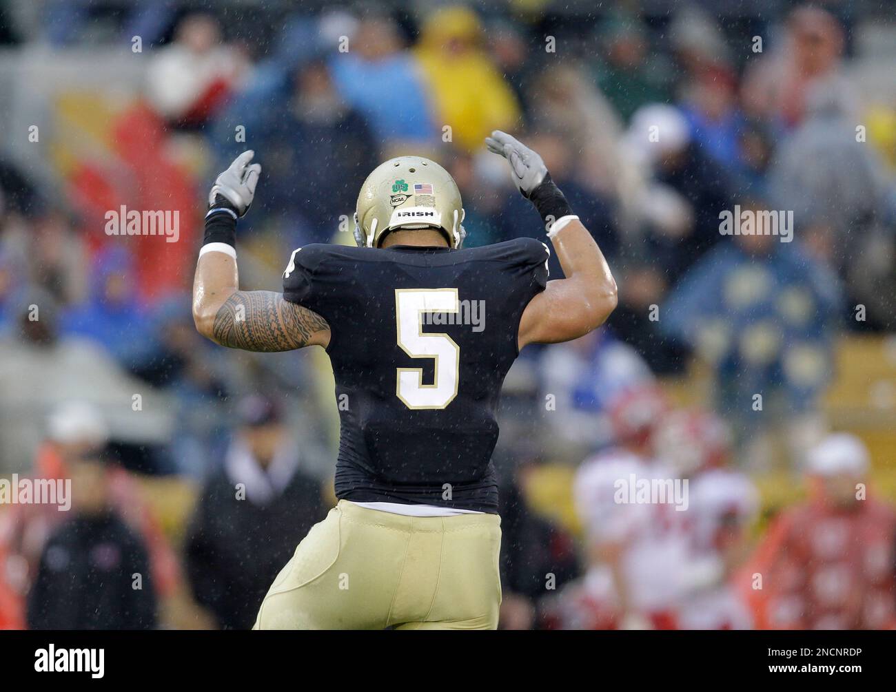 Notre Dame linebacker Manti Te'o (5) reacts following a play during the