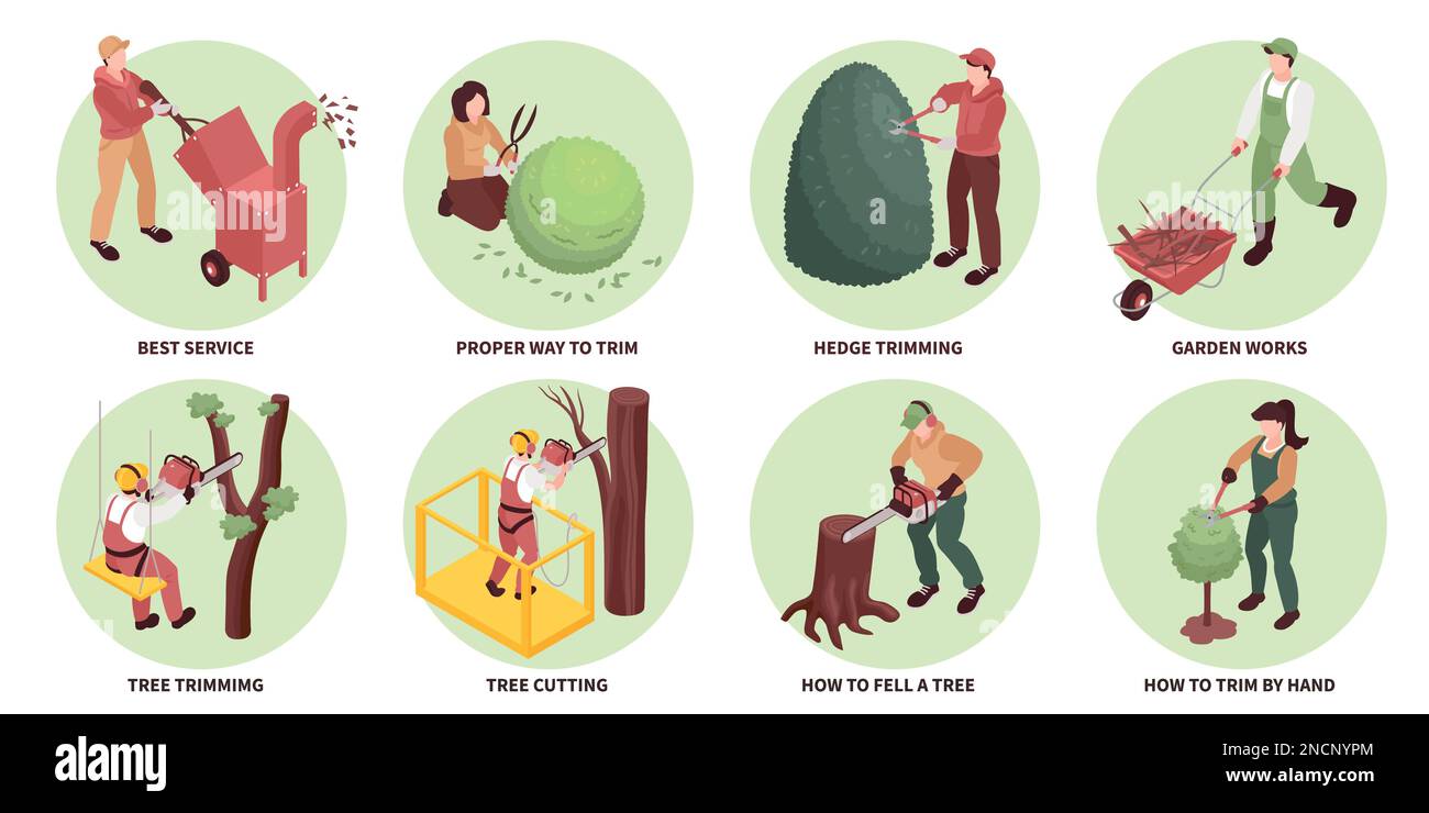 Garden workers compositions set with tree cutting symbols isometric isolated vector illustration