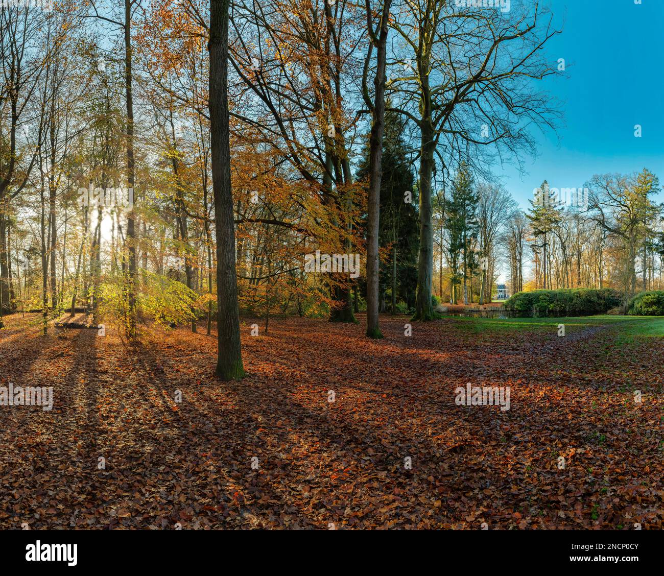 The Schaap en Burch estate, natural monument Stock Photo Alamy