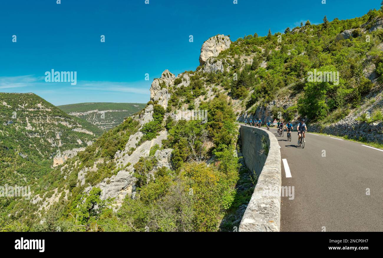 les gorges de la nesque