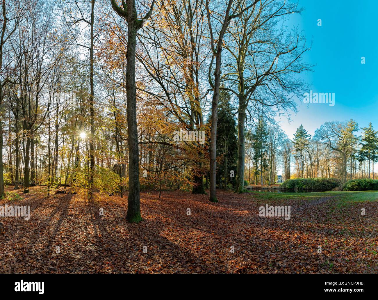 The Schaap en Burch estate, natural monument Stock Photo Alamy