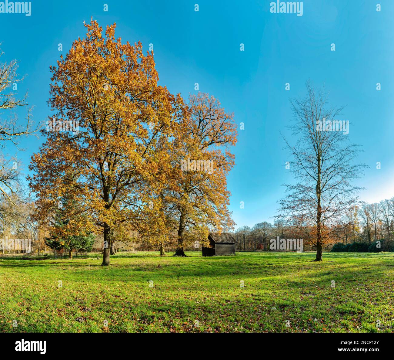 The Schaap en Burch estate, natural monument Stock Photo Alamy
