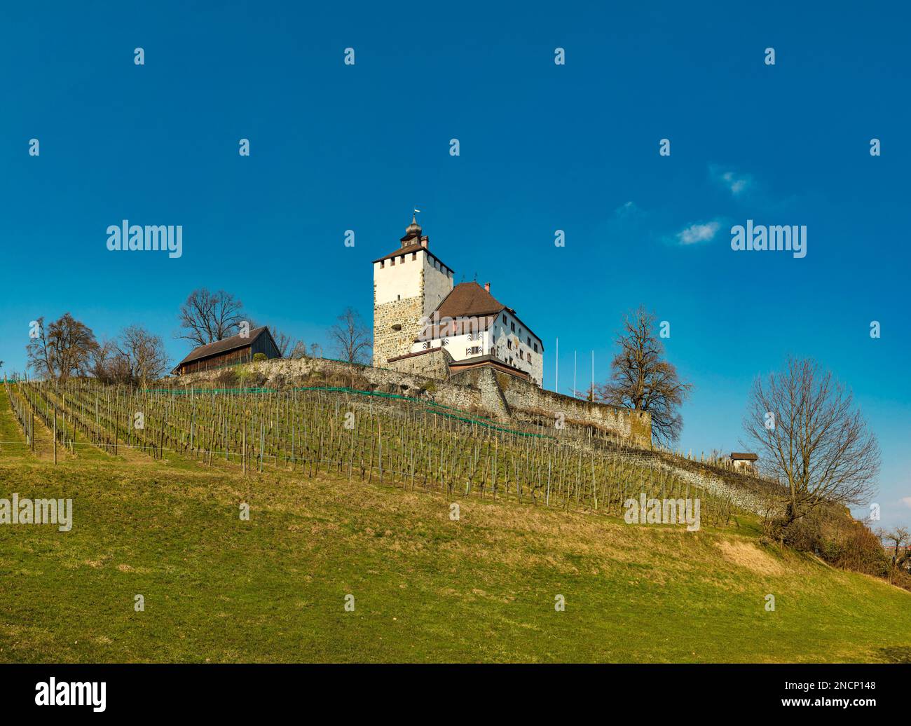 Schloss Werdenberg castle Stock Photo
