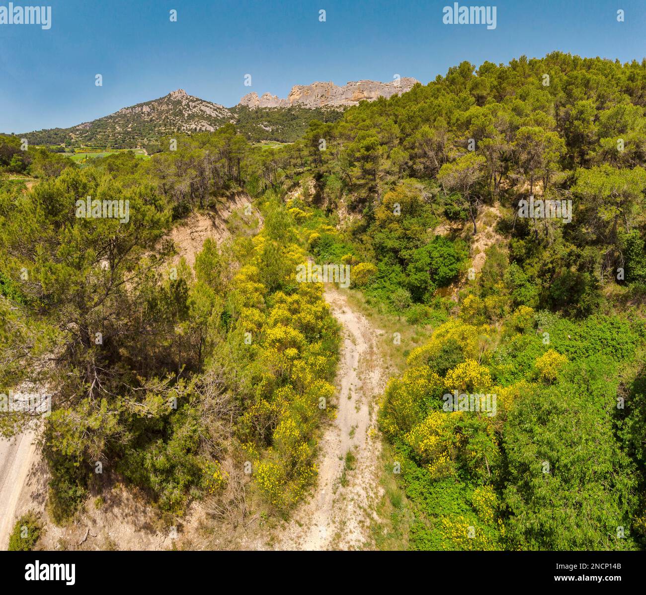 Les Dentelles de Montmirail Stock Photo - Alamy