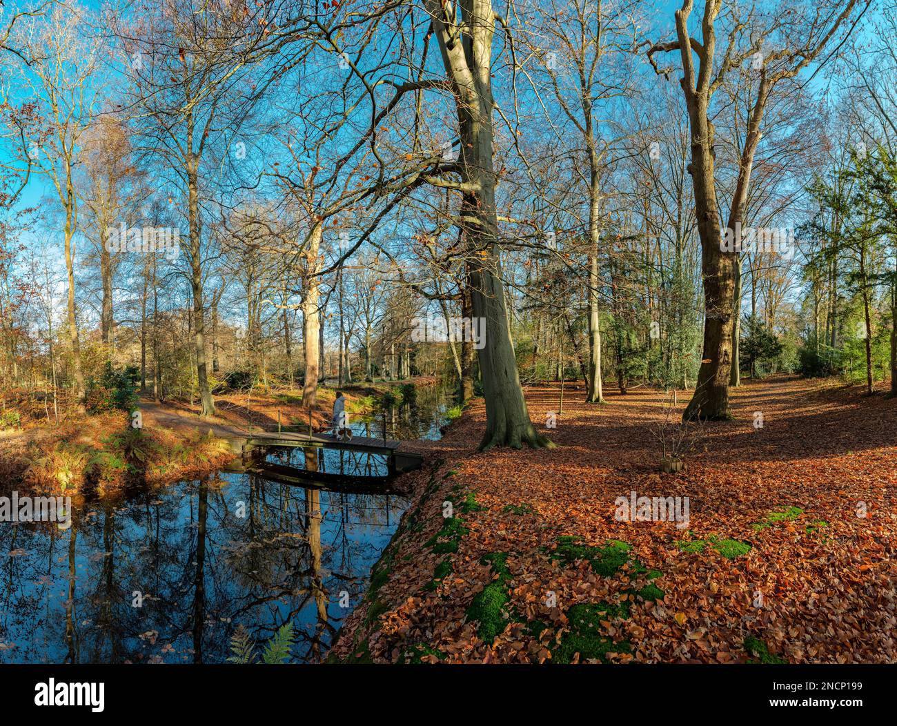 The Schaap en Burch estate, natural monument Stock Photo Alamy