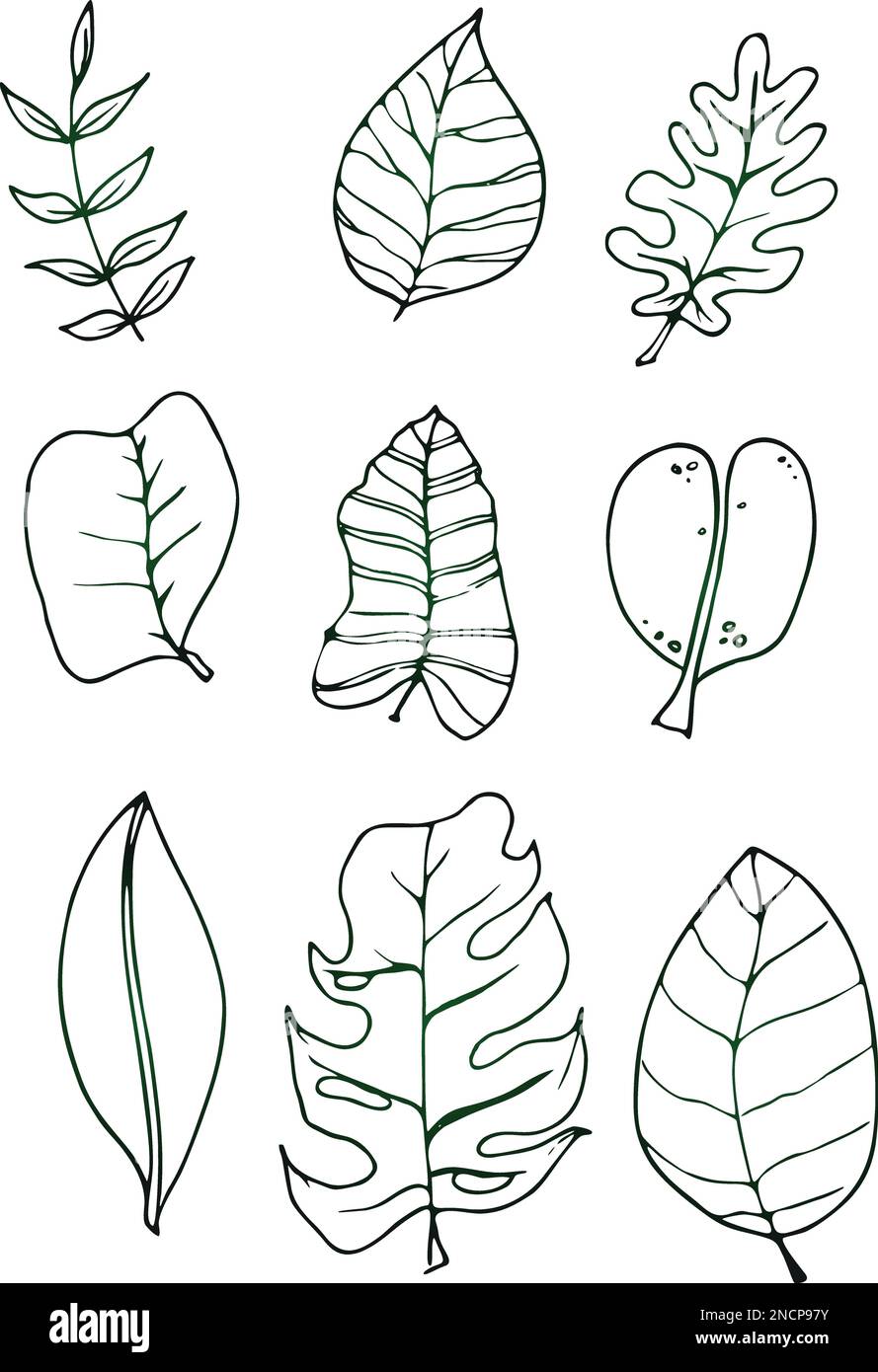 eco set of black line leaf icons on white background Stock Vector Image ...