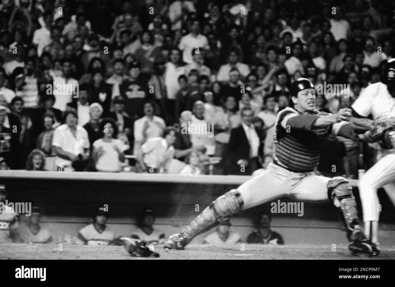 Carlton Fisk, Chicago White Sox, Hall of Fame, Catcher