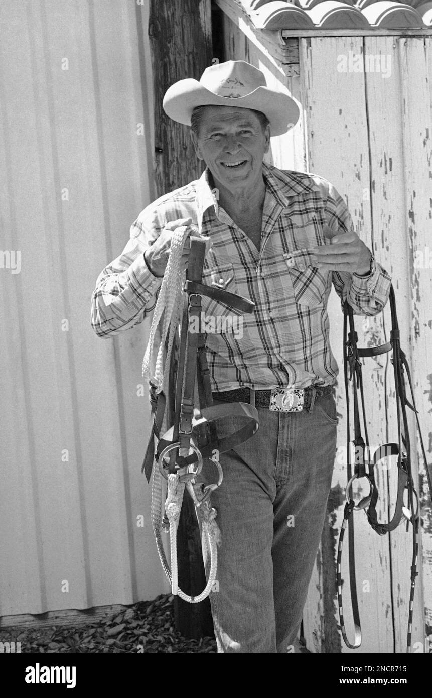 Presidential contender Ronald Reagan carries gear before saddling up ...