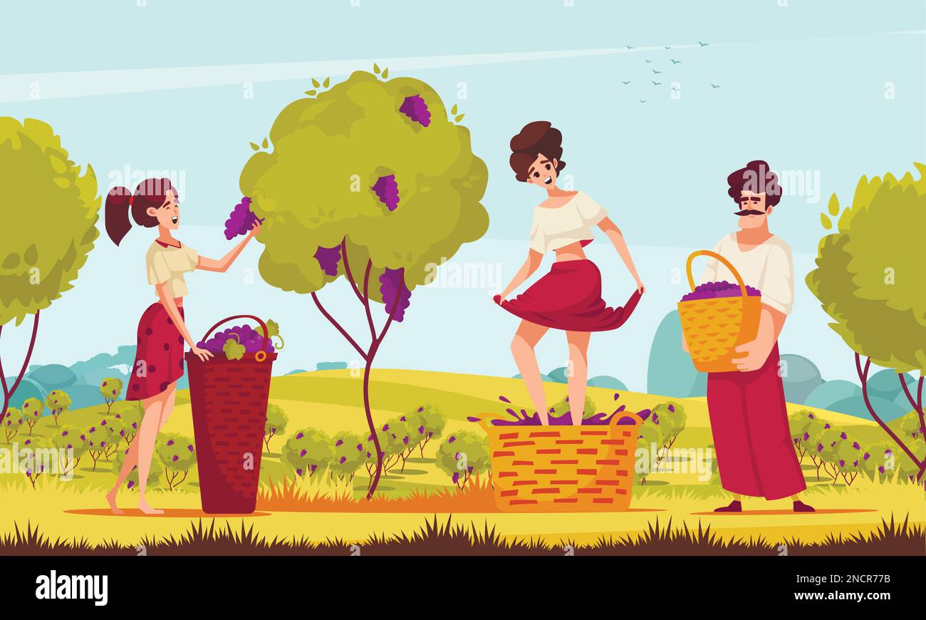 Traditional wine making process cartoon with woman squeezing grape with