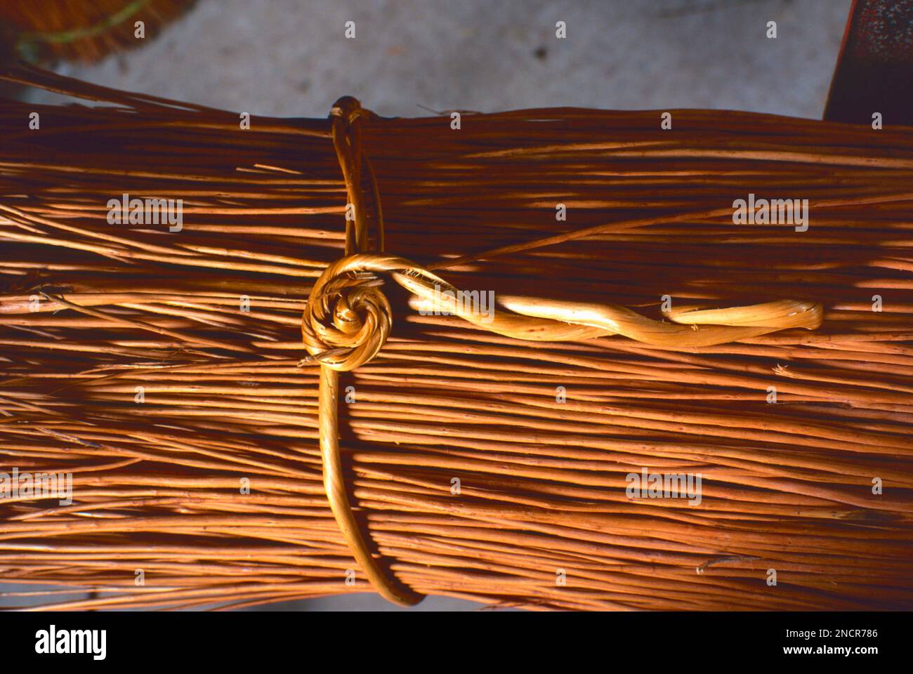 A tied bundle of withies for basket making, UK Stock Photo Alamy