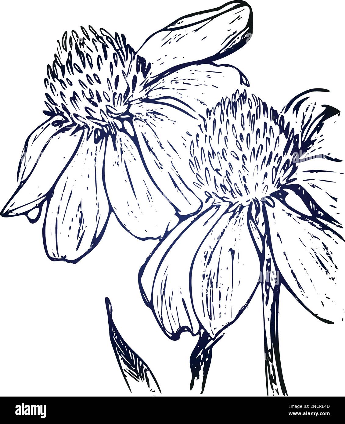 Drawing vector graphics with floral pattern for design. Floral flower ...