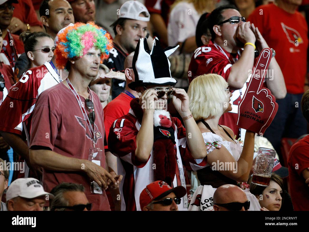 Arizona Cardinals Top Plays vs. Tampa Bay Buccaneers