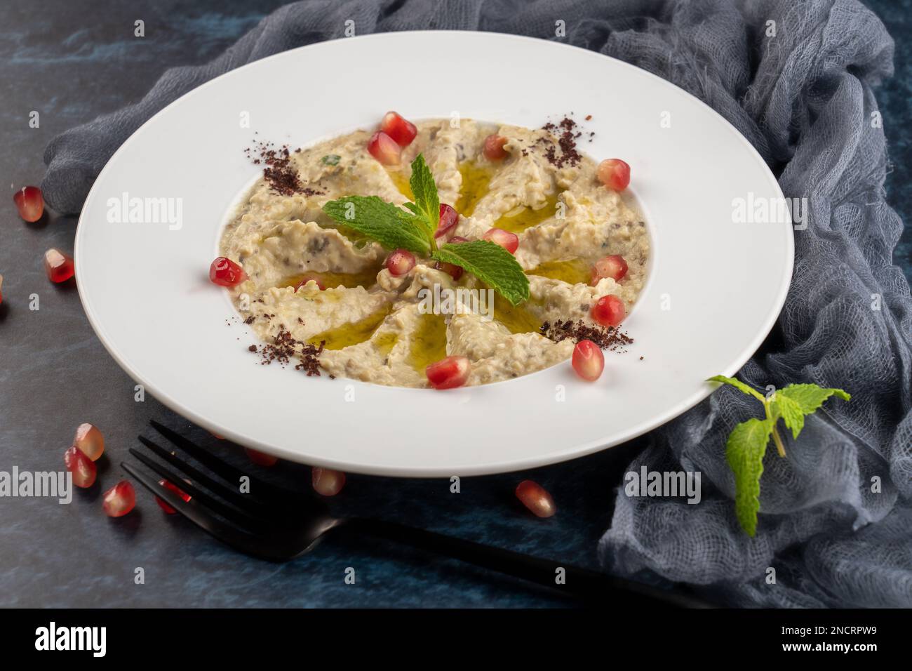A closeup shot of Mutabal made of grilled eggplant with yogurt on a white plate Stock Photo