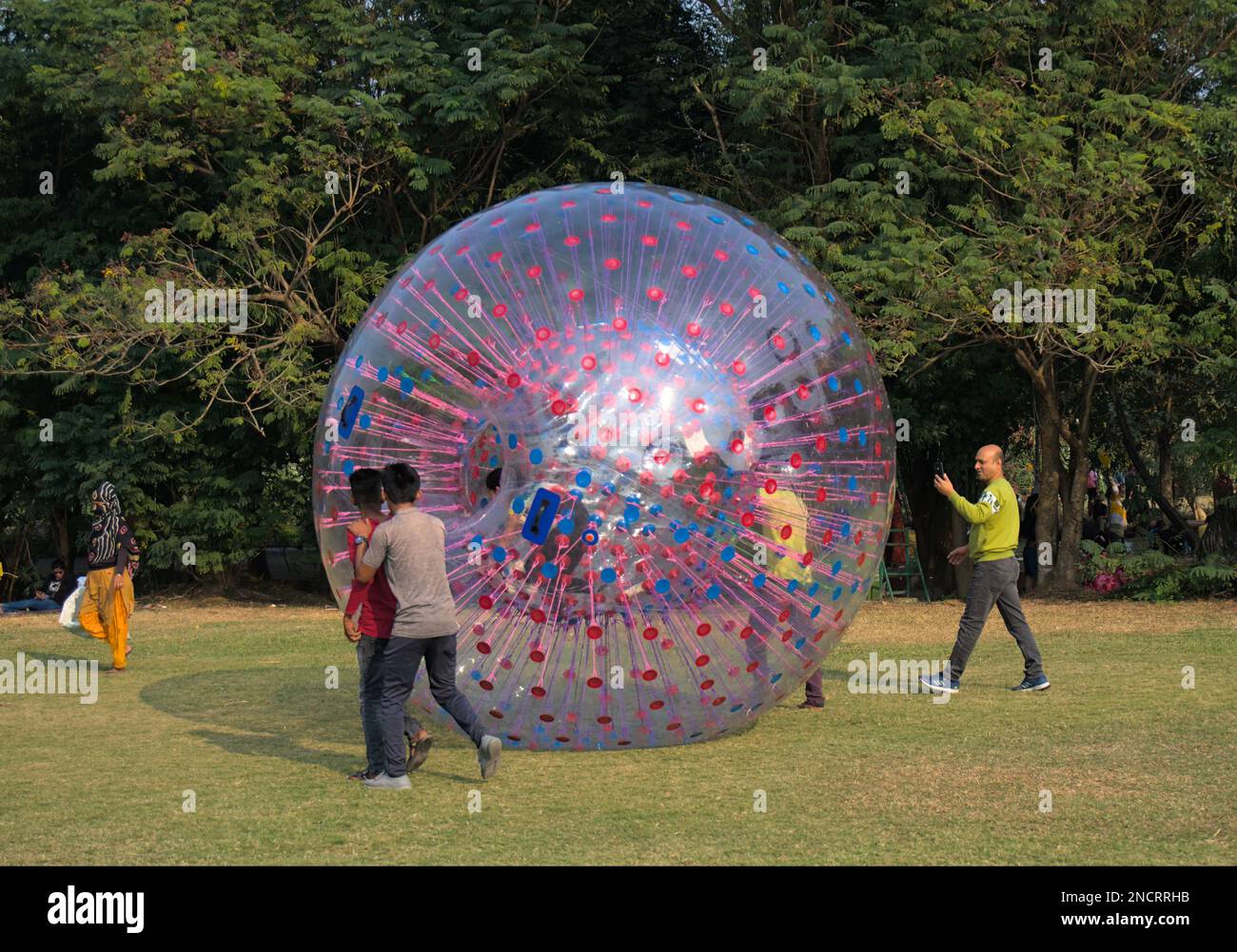 People enjoying Walking balloon or zorbing balloon on sunny day inside eco park. Stock Photo